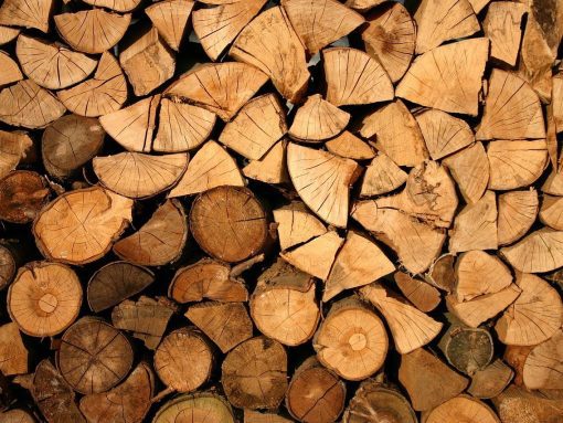 Bax Hout: dé houthandel in Gorinchem voor hoogwaardig hout